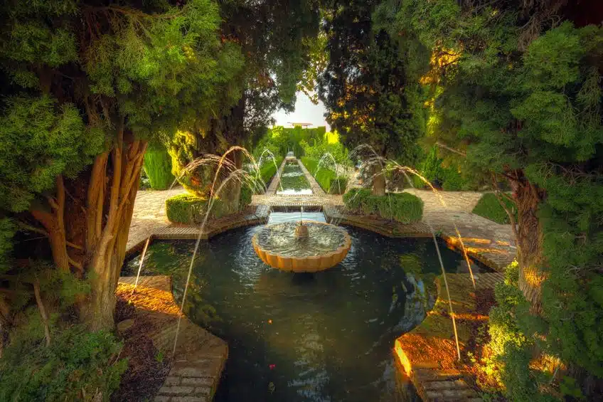 Jardin aquatique : 5 idées pour un espace de détente unique