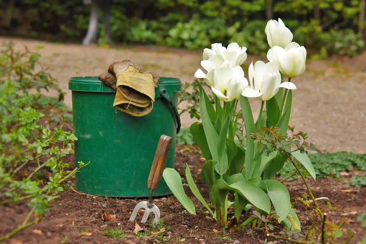 Les indispensables du jardinier : quels équipements de jardin faut-il avoir ?