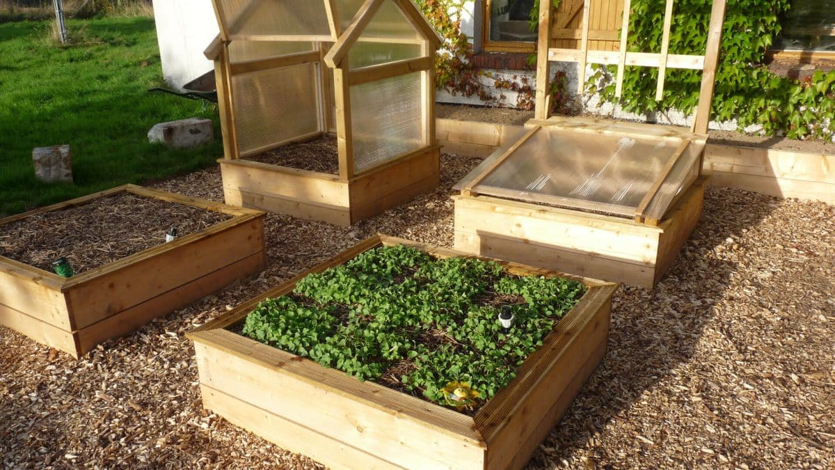 construire un potager de jardin