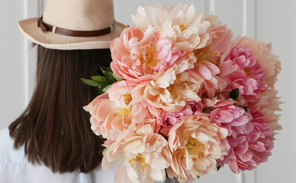Conseils avisés pour un entretien optimal de vos fleurs !
