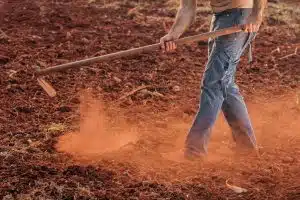 Éliminer les mauvaises herbes efficacement : astuces et méthodes pour un jardin impeccable