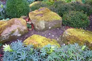 Astuces efficaces pour prévenir les maladies et éloigner les parasites dans votre jardin