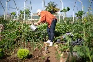 Les bénéfices environnementaux d’un jardin en permaculture