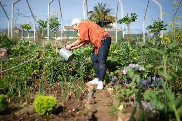 Les bénéfices environnementaux d’un jardin en permaculture
