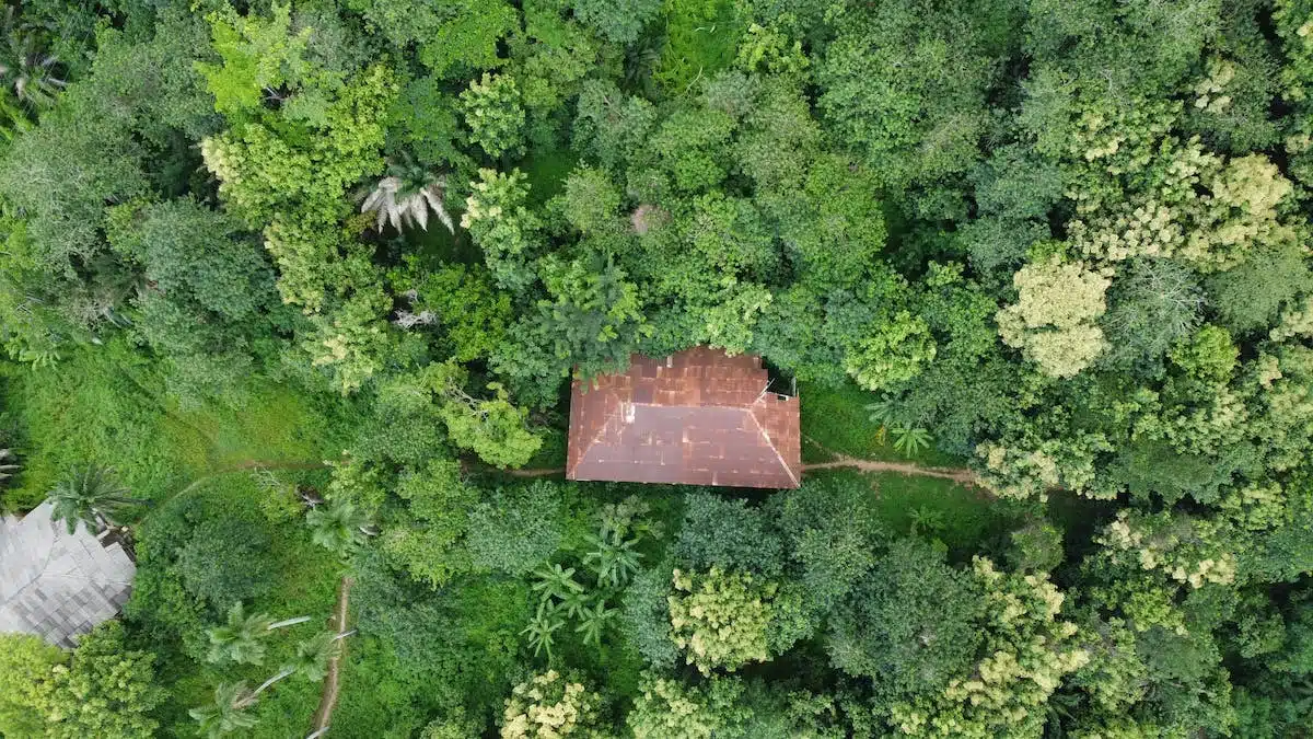 permaculture jardin