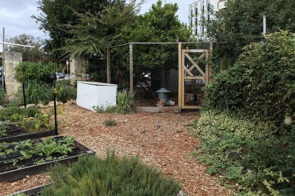 Réussir son potager en ville : techniques infaillibles et conseils pratiques