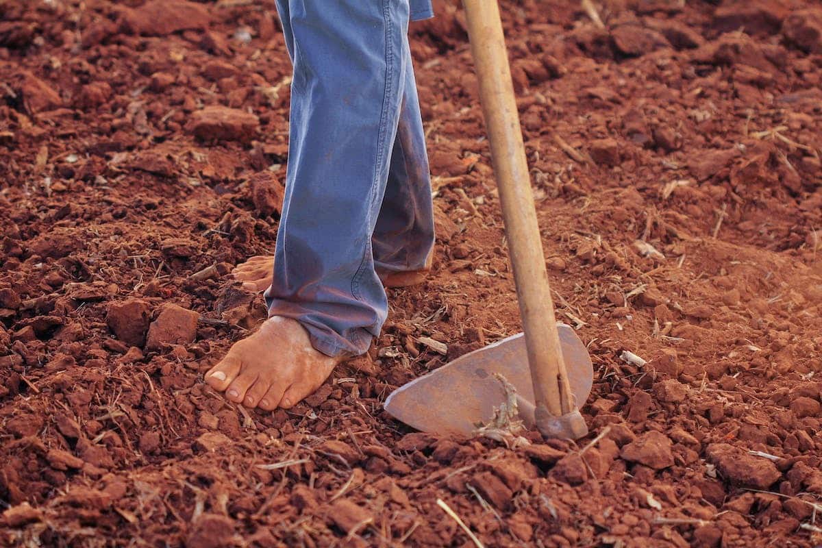 compostage  jardin