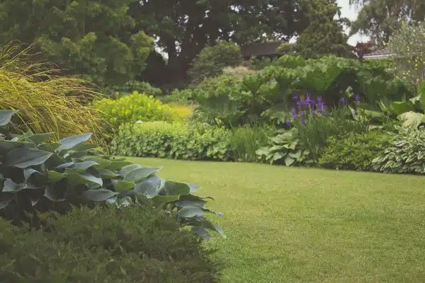 Concevez un jardin verdoyant en aménageant un espace gazonné parfaitement adapté à votre terrain