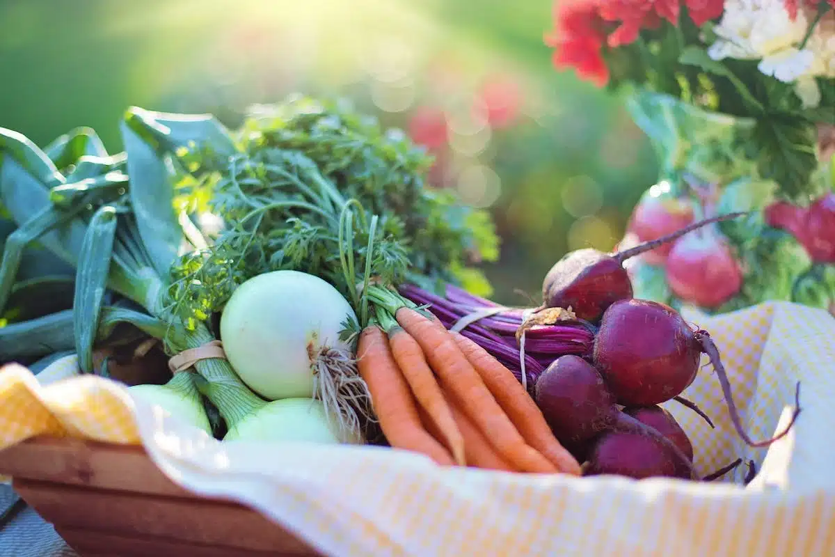 jardin comestible