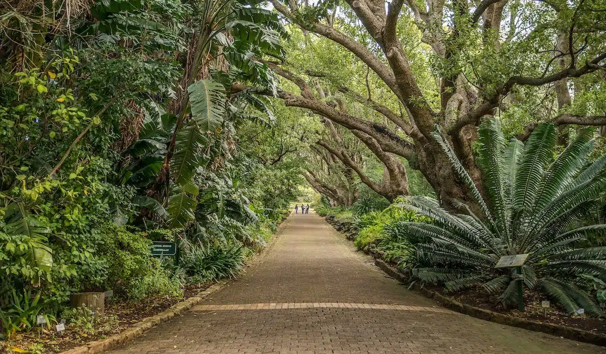 Créez un jardin magique pour émerveiller les enfants !