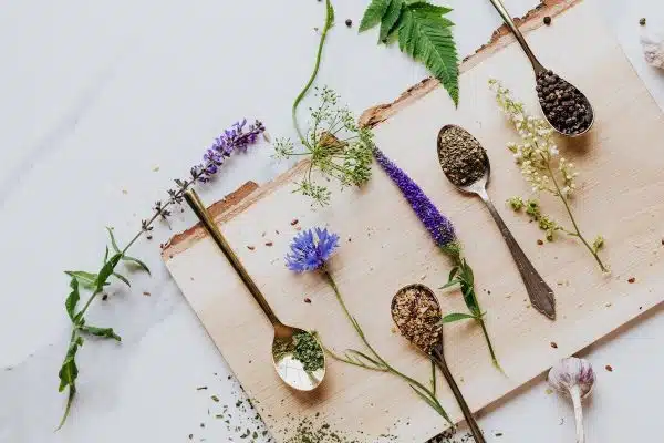 Les meilleures fleurs comestibles à planter dans votre jardin