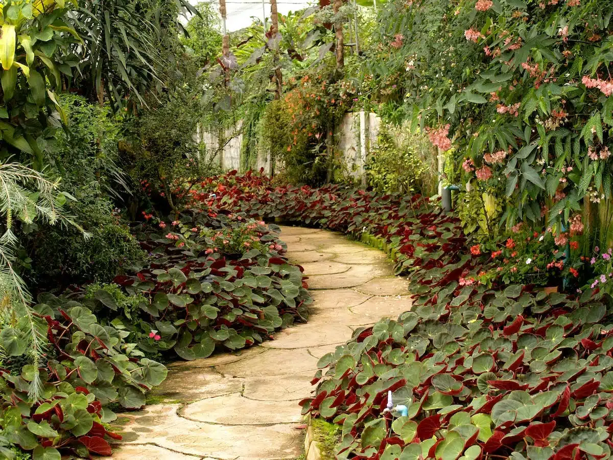 jardinage  aménagement