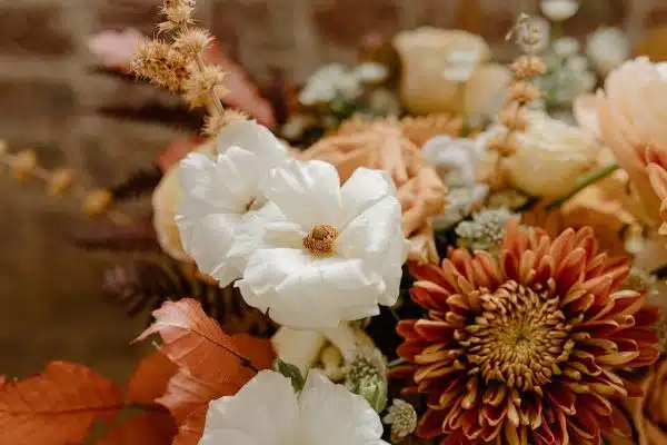 Les meilleures fleurs parfumées pour un jardin féérique