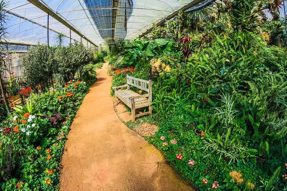 serre jardin