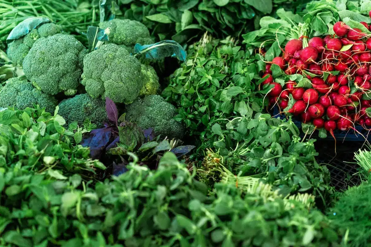 Les incontournables pour créer un jardin de fines herbes aromatiques