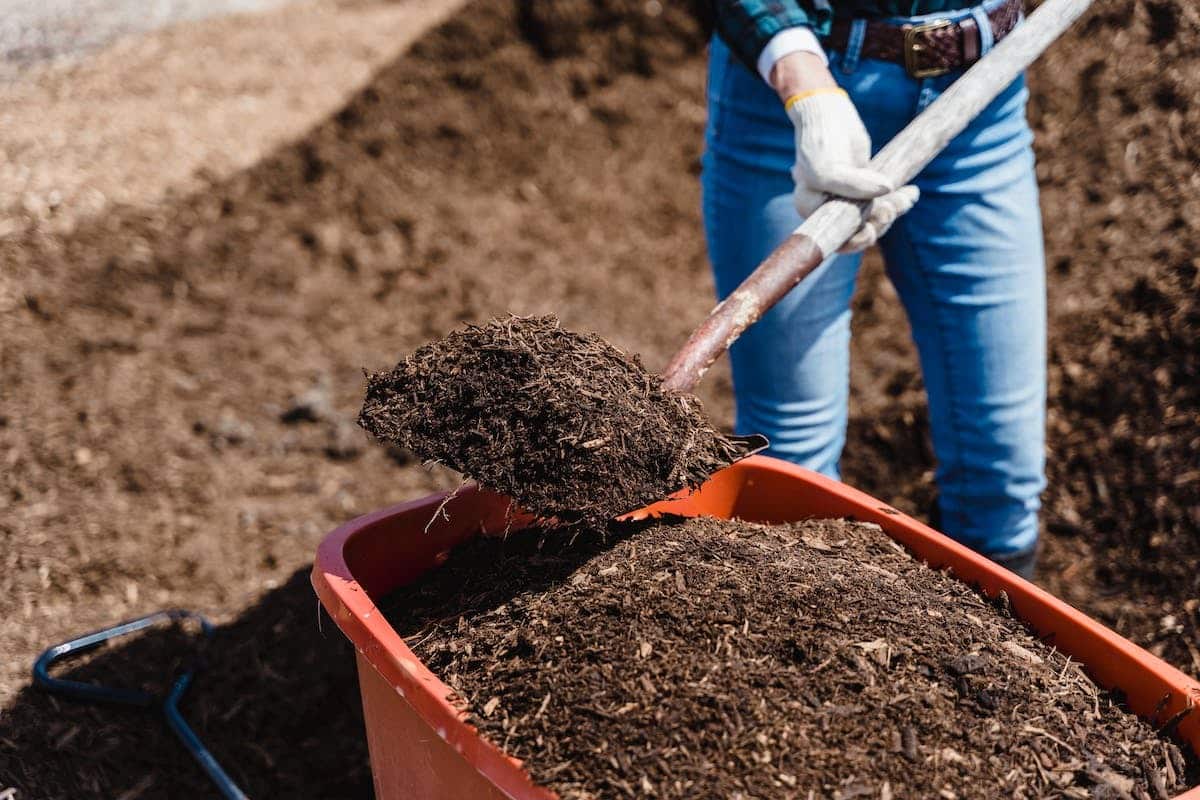 Les nombreux bénéfices du compostage pour votre jardin