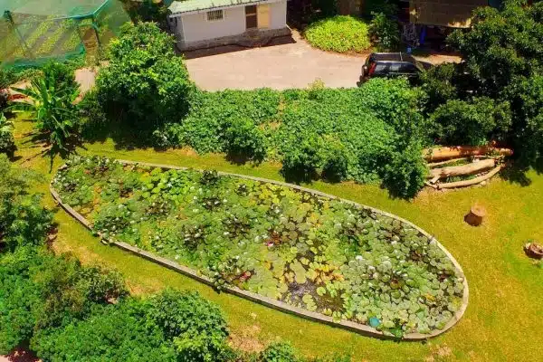 La permaculture : une approche durable pour aménager son jardin
