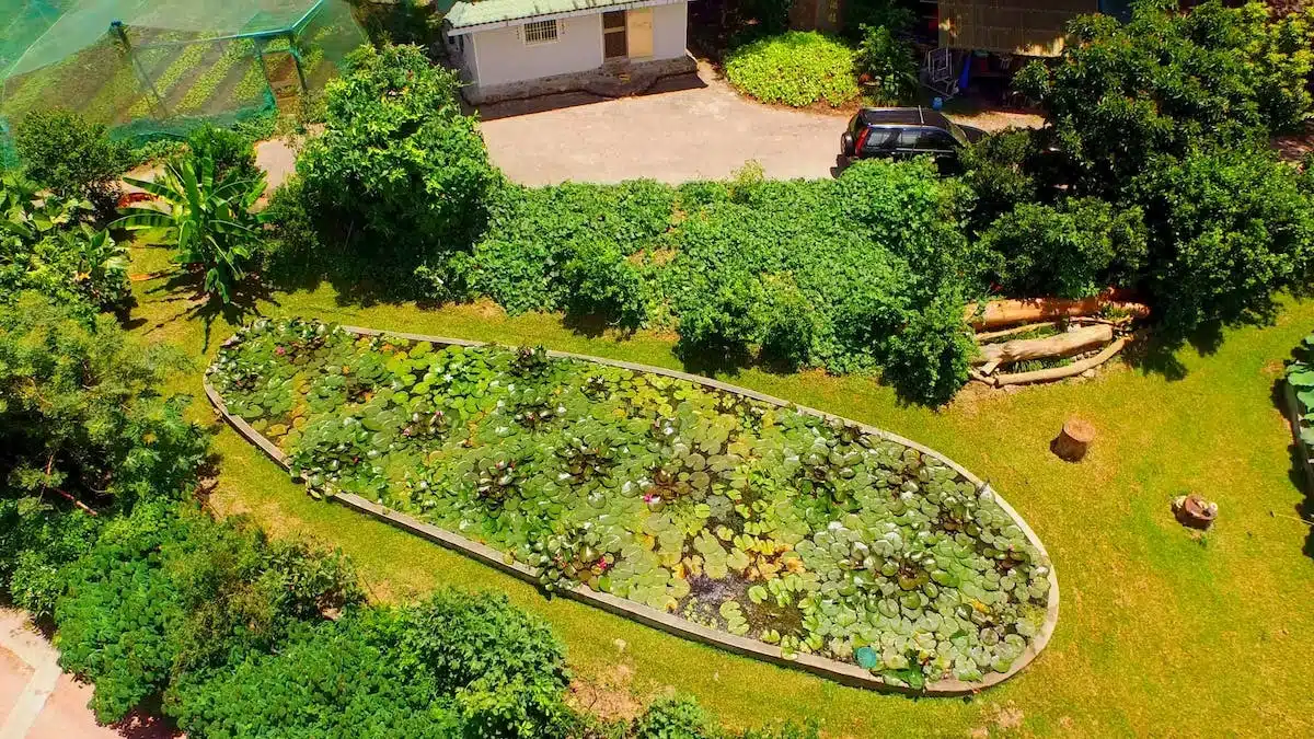 La permaculture : une approche durable pour aménager son jardin