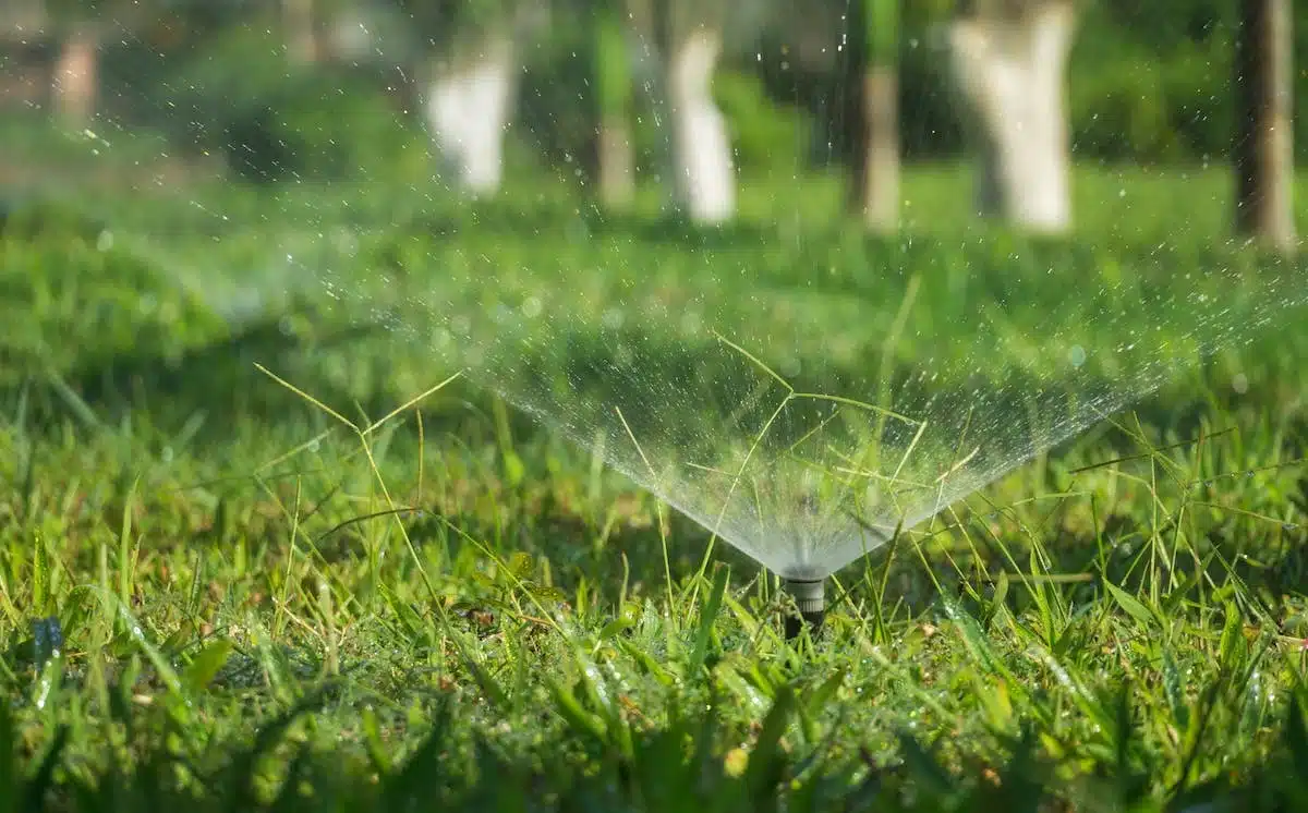 arroseurs automatiques  économie d eau