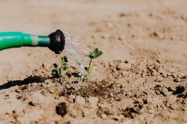 Les solutions les plus efficaces pour irriguer son jardin