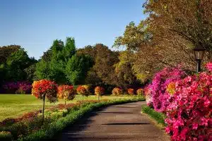 Astuces incontournables pour un jardin fleuri tout au long de l’année