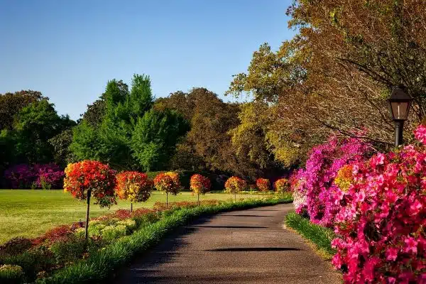 Astuces incontournables pour un jardin fleuri tout au long de l’année