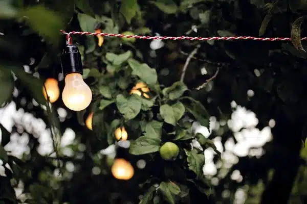 Les clés pour réussir l’installation d’un éclairage extérieur dans votre jardin