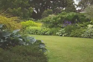 Les plantes idéales pour un jardin à faible ensoleillement