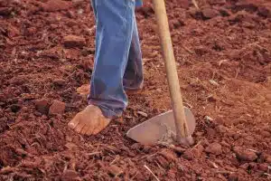 Compostage au potager : les méthodes les plus efficaces pour nourrir votre sol