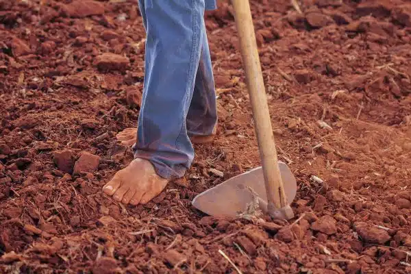 Compostage au potager : les méthodes les plus efficaces pour nourrir votre sol