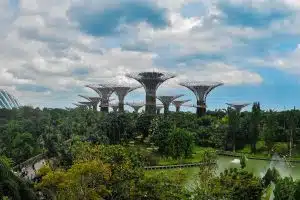 Les meilleures plantes pour un aménagement paysager respectueux de l’environnement