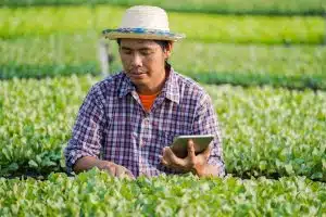Les dernières innovations pour simplifier la pratique de la permaculture dans votre jardin