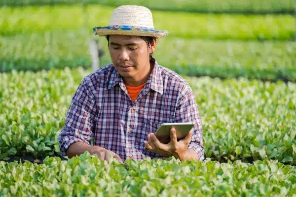 Les dernières innovations pour simplifier la pratique de la permaculture dans votre jardin