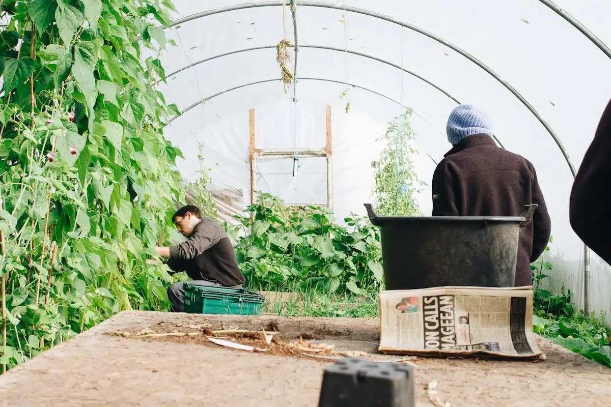 permaculture  innovation