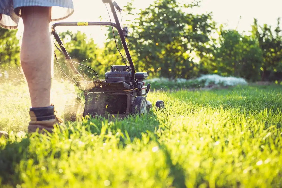 Réparer les zones abîmées de son gazon : les meilleures solutions à connaître