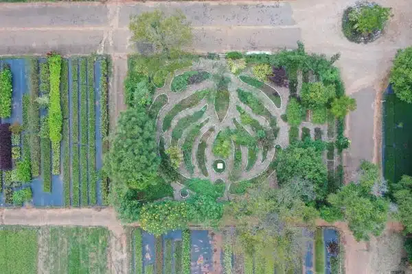 La permaculture : une méthode écoresponsable pour un jardinage respectueux de l’environnement