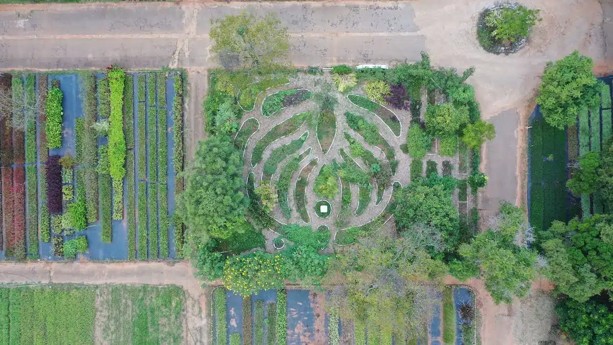 La permaculture : une méthode écoresponsable pour un jardinage respectueux de l’environnement