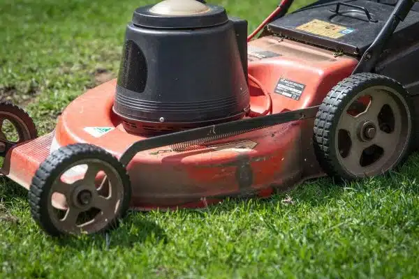 Les meilleures tondeuses à gazon pour un jardin parfaitement entretenu