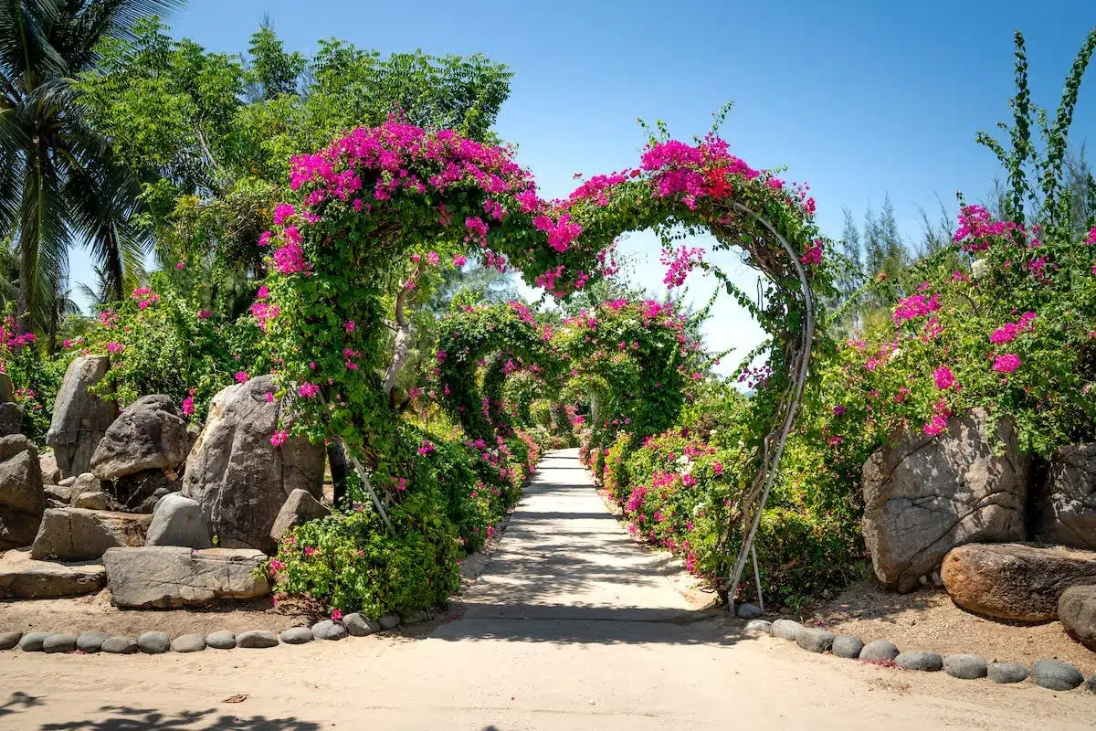 Créez un jardin romantique et féérique grâce à des fleurs enchanteuses