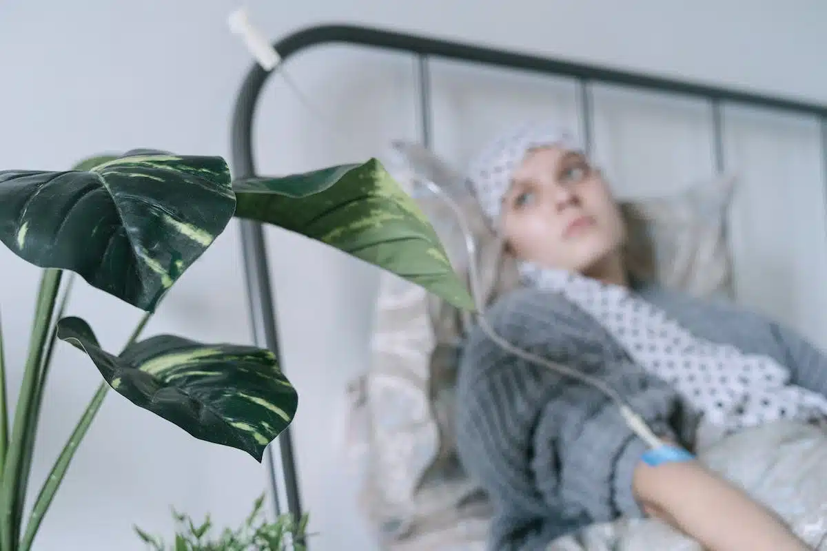 Prévenir et guérir les maladies des plantes au jardin : les astuces à connaître