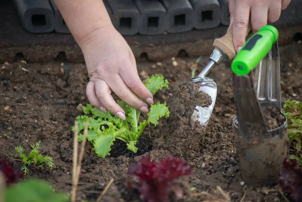 outils potager