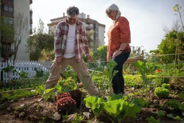 Les meilleures variétés de légumes à cultiver dans votre potager cet été