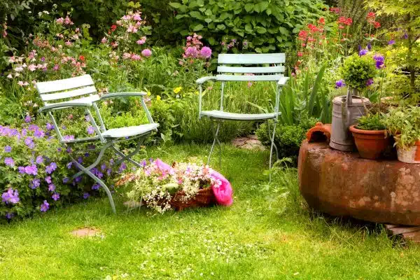 Sublimez votre jardin avec des fleurs vivaces à longue floraison !