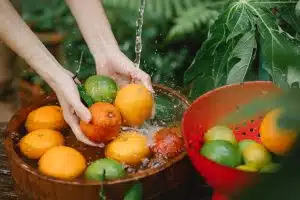 Les plantes comestibles à cultiver dans votre jardin : une mine d’idées culinaires