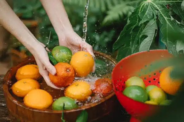 Les plantes comestibles à cultiver dans votre jardin : une mine d’idées culinaires