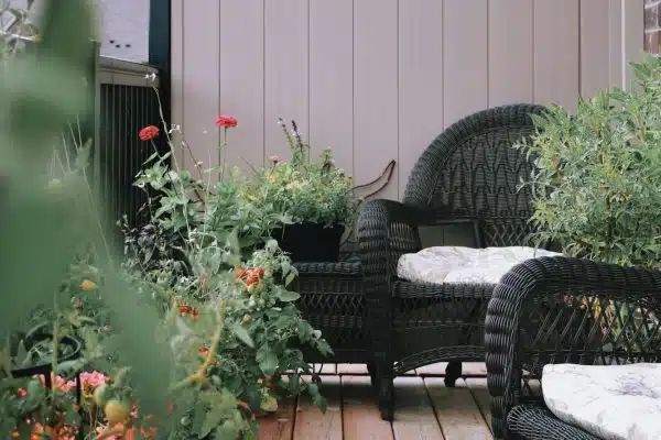 Achat de plantes d’extérieur : Pour quelles raisons ? Quelles variétés choisir ?