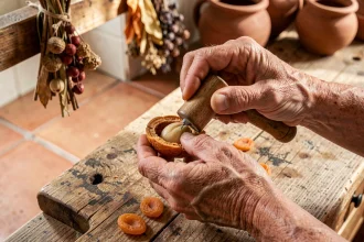 Mains féminines ouvrant un noyau d'abricot sec sur un établi en bois rustique pour en extraire l'amande