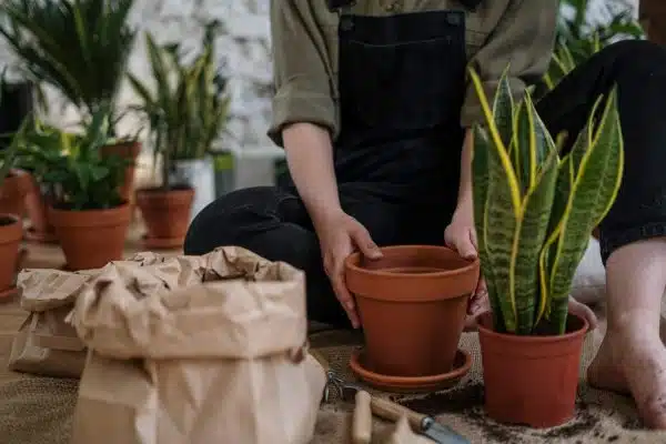 Quand commencer à s’occuper de son jardin ?