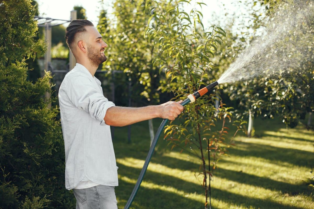 Arrosage du gazon : conseils pratiques pour économiser l’eau et maximiser l’efficacité