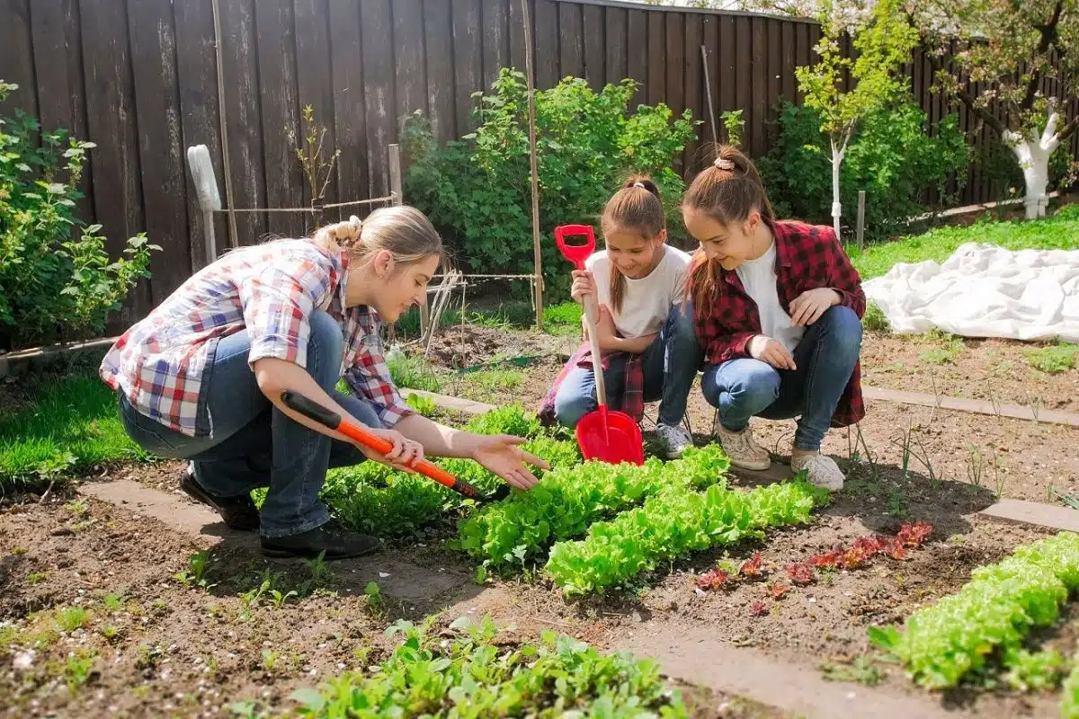 Comment planifier et construire un potager de jardin